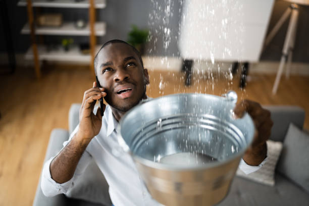 Best 24/7 water damage repair  in Midland Park, NJ