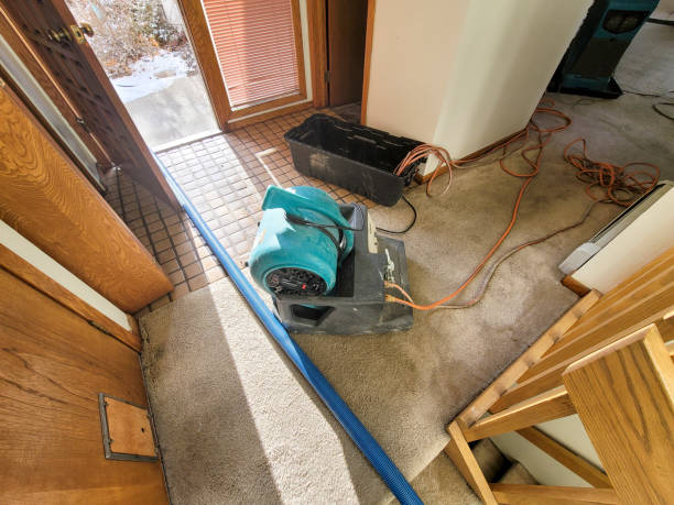 Best Fire Damage Restoration  in Midland Park, NJ
