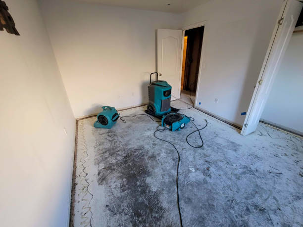 Best Water damage restoration services  in Midland Park, NJ