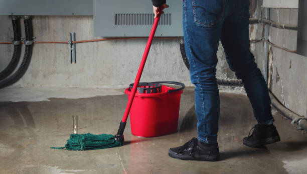 Best Flood restoration services  in Midland Park, NJ